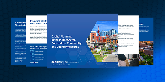 Capital Planning in the Public Sector